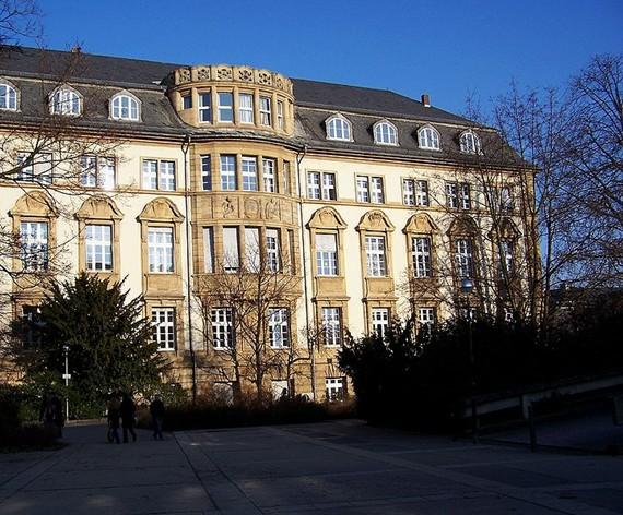 fachbereich biologie uni ulm,Programs and Courses