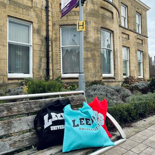 fun facts leeds uni,Fun Facts About Leeds University