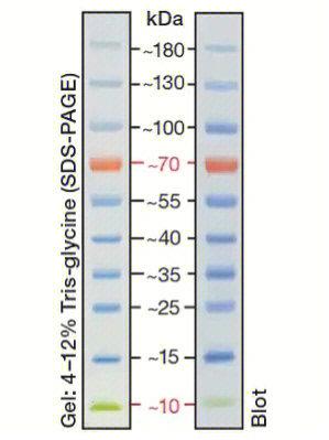 uni paint marker px-30 refill,Discover the Uni Paint Marker PX-30 Refill: A Comprehensive Guide