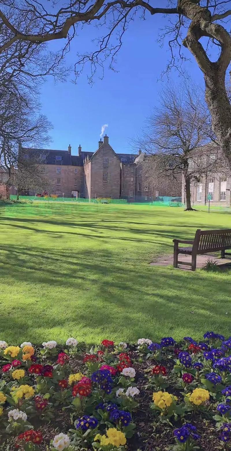 uni of st andrews logo,Design Elements